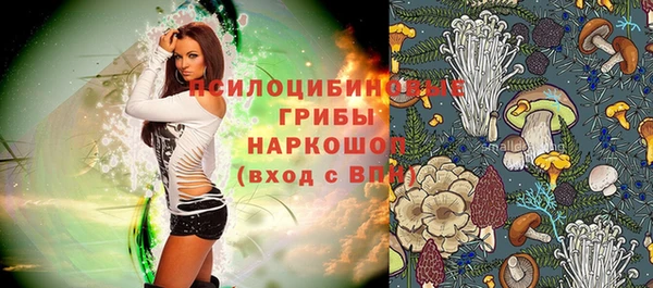 mdpv Корсаков