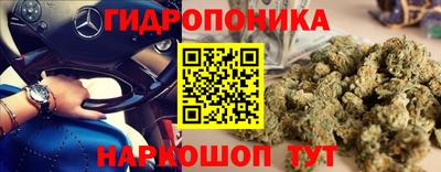 Альфа ПВП Будённовск