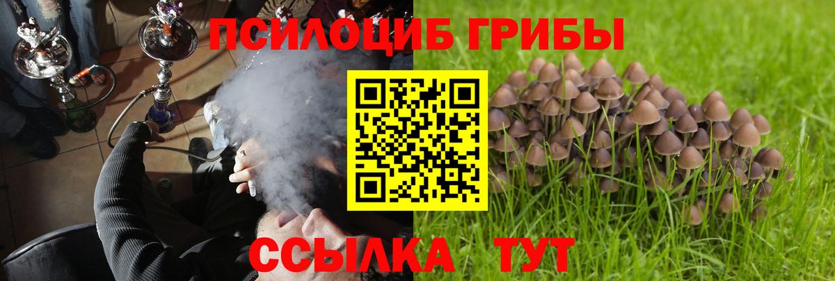 Галлюциногенные грибы Psilocybe  Вход с VPN  Крымск  Псилоцибиновые грибы прущие грибы 