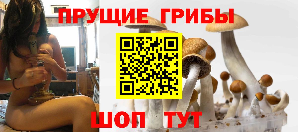 Псилоцибиновые грибы Cubensis Крымск